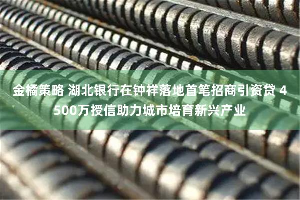 金橘策略 湖北银行在钟祥落地首笔招商引资贷 4500万授信助力城市培育新兴产业
