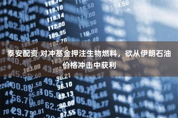 泰安配资 对冲基金押注生物燃料，欲从伊朗石油价格冲击中获利