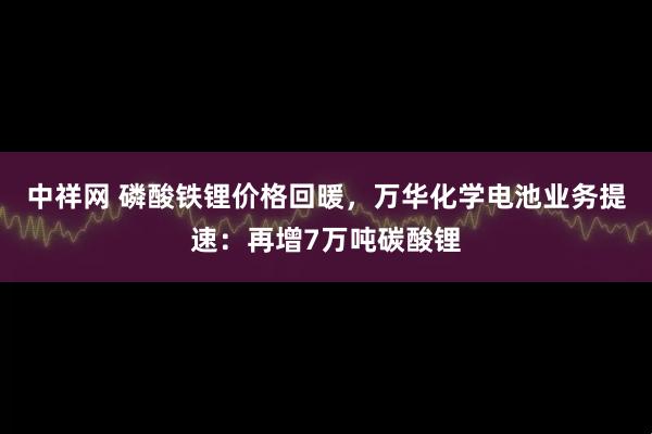 中祥网 磷酸铁锂价格回暖，万华化学电池业务提速：再增7万吨碳酸锂